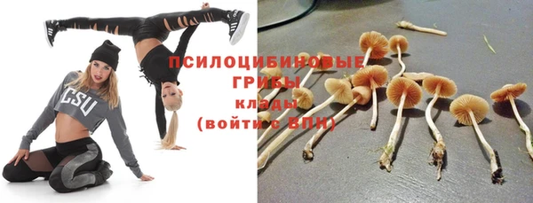 гидропоника Навашино